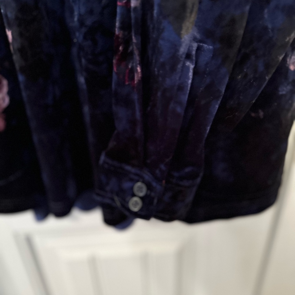 Belle by Kim Gravel Velvet Blouse - Picture 6 of 7